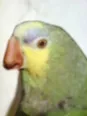 Avatar Benway