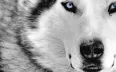 Avatar BlaueScheibe24