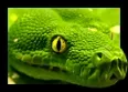 Avatar Michel82