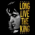 Avatar Bunaldinho