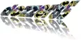 Avatar dozzer85