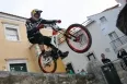 Avatar Blu-Freerider