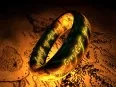 Avatar SpawnYou