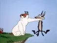 Avatar Coyote