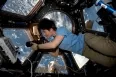 Avatar Omnicron