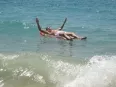 Avatar kosta86
