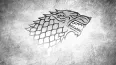 Avatar Schattenwolf