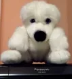 Avatar charlipudel