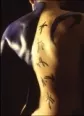 Avatar Ryan Anderson