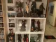 Avatar Xeno81