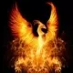 Avatar rtphoenix