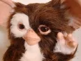 Avatar Steeelbook