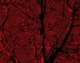 Avatar supergondi