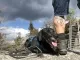 Avatar Timber