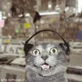 Avatar Matze