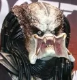 Avatar --PREDATOR---