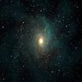 Avatar janknet