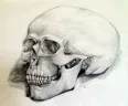 Avatar dancingpuma