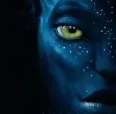 Avatar plisno
