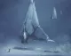 Avatar mlg