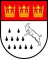 Avatar ayk1