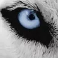 Avatar Olorin