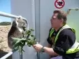 Avatar McFly