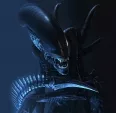 Avatar XTC