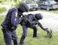 Avatar Puntaskala