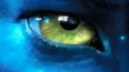 Avatar Korpedo
