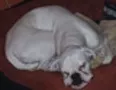 Avatar atm