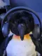 Avatar Janeinvielleicht