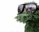 Avatar Gonzo71