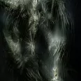 Avatar imrehu1
