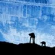 Avatar CL46