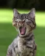 Avatar Mondeofahrer65