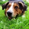Avatar General_Lee