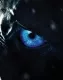 Avatar Lelouch