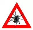 Avatar ekceZ