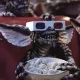 Avatar oxyd