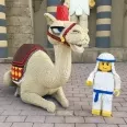 Avatar Scheich
