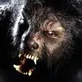 Avatar BeWolf