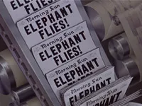Dumbo-Kolumnenbild-003.webp