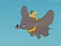 Dumbo-Kolumnenbild-004.webp