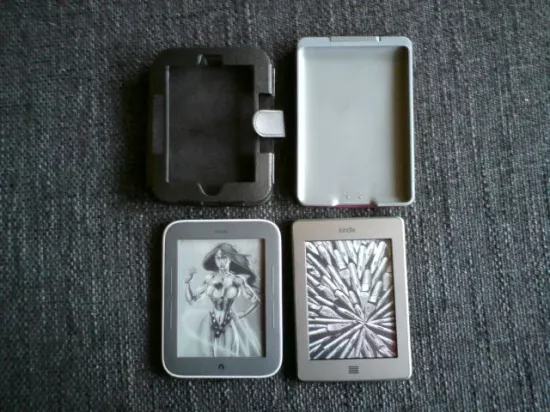 Nook und Kindle samt Hüllen