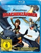 Drachenzähmen leicht gemacht
