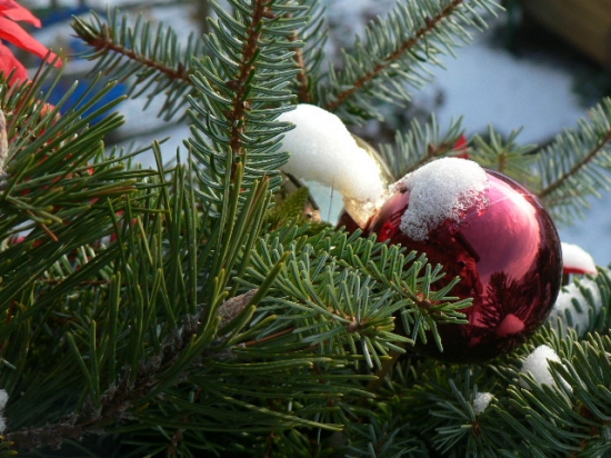 Vorweihnachtliches