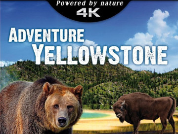 Adventure-Yellowstone-Newslogo.jpg