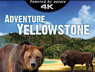 Adventure-Yellowstone-Newslogo.webp