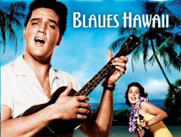 Blaues-Hawaii-Newslogo.webp